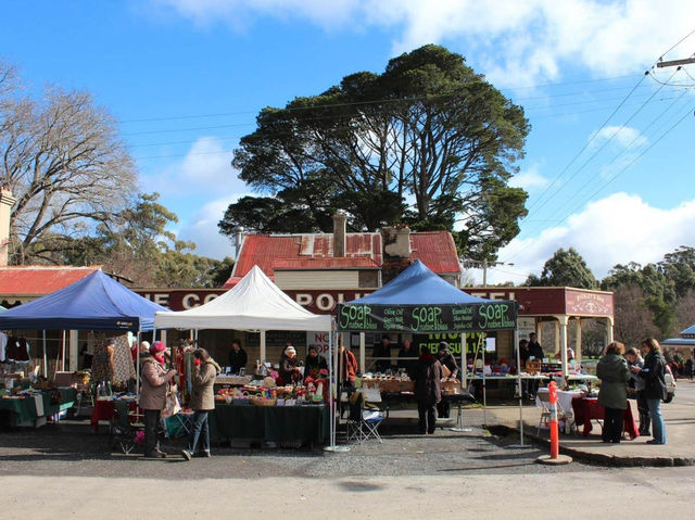 🏔️🌿 Spring Mountain Escape: A Cozy Weekend in Victoria’s Highlands