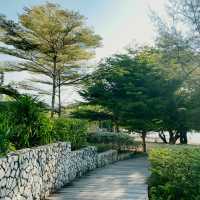 Angsana Teluk Bahang