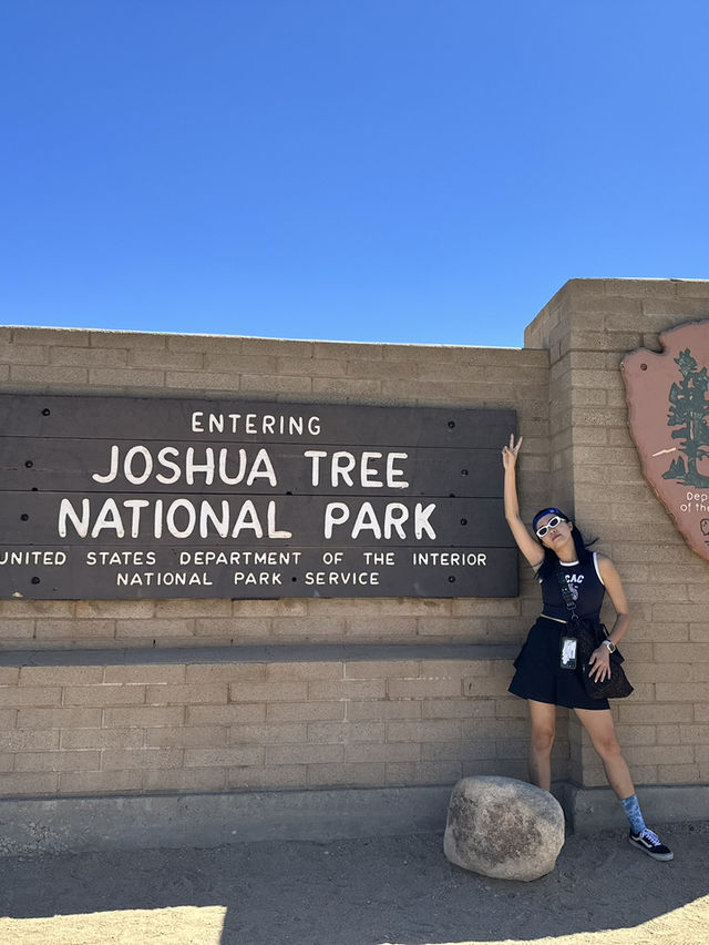 Joshua Tree 國家公園：在沙漠裡的國家公園！