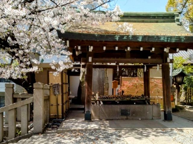 大阪道頓堀15分鐘的私房賞櫻景點---高津宮&高津公園