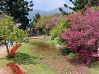 The Stunning views at Yangmingshan National Park, Taipei, Taiwan