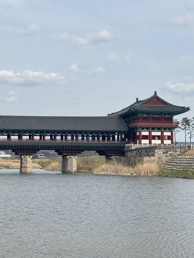 경주 여행코스 총정리🌸