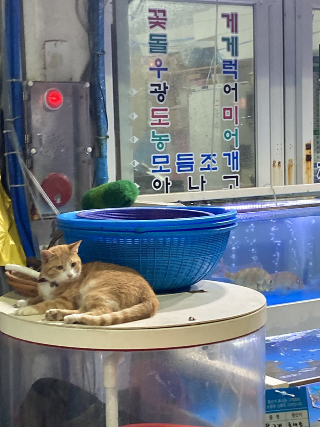 일몰이 아름다운 태안 여행🩵