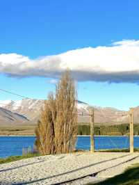 🏞️ Lake Tekapo Highlights (Especially in Spring)