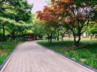🌸【都市綠洲】慶尚監營公園：歷史與花香共舞的所在
