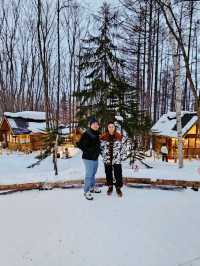 Frozen Beauty & Fairy Lights: Winter Road Trip from Asahikawa to Biei & Furano