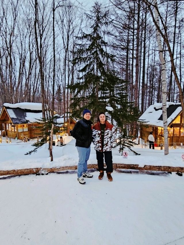 Frozen Beauty & Fairy Lights: Winter Road Trip from Asahikawa to Biei & Furano