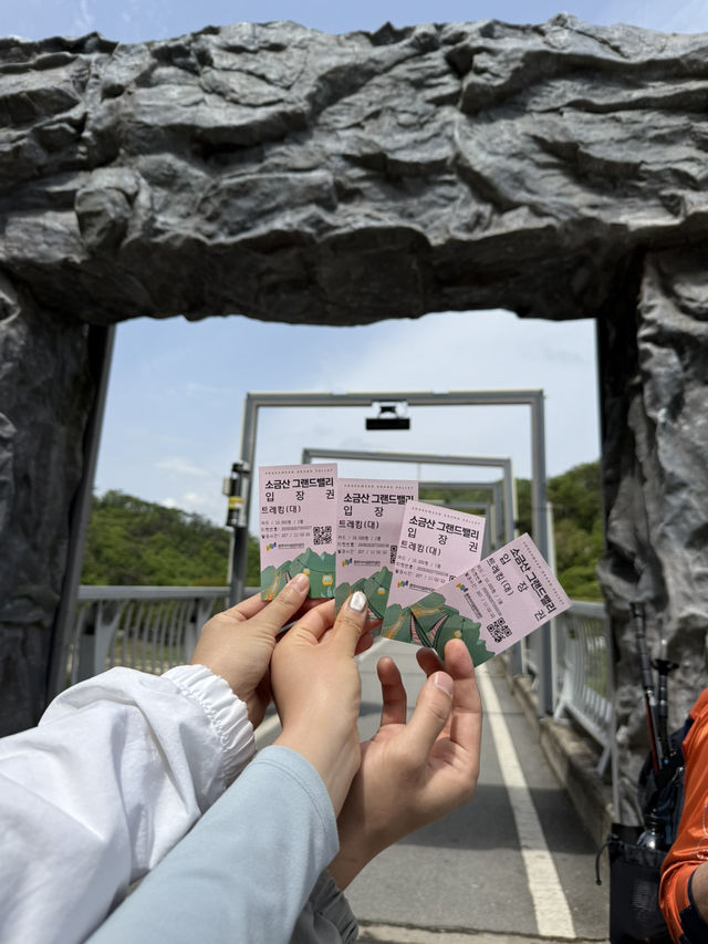 당일로 다녀오가 좋은 곳 원주 출렁다리 소금산 그랜드밸리!