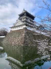 春日絕景，小倉城櫻影夢幻行。