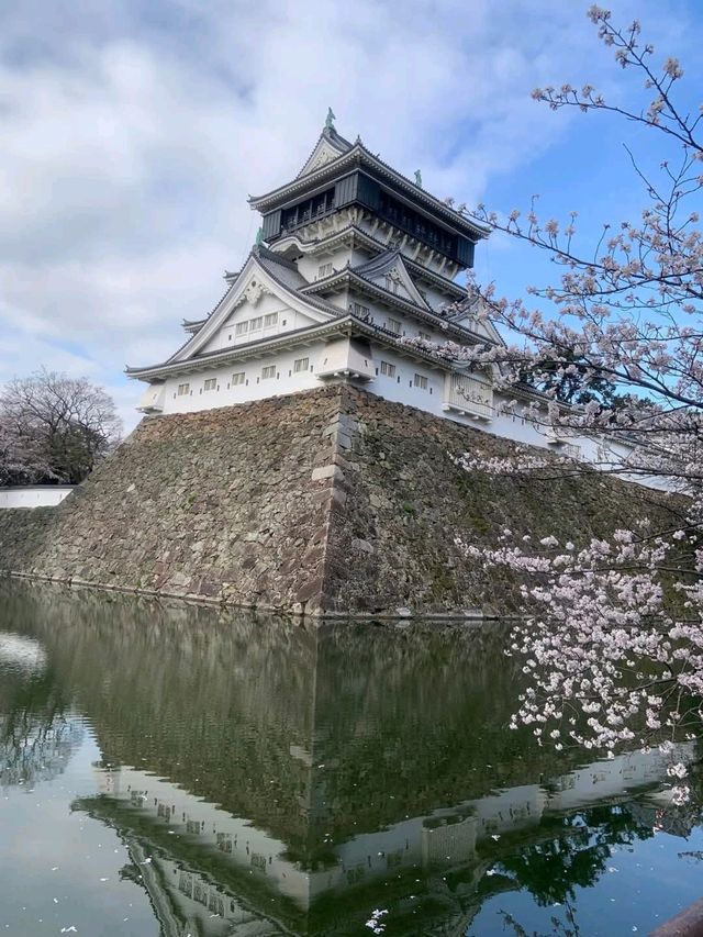 春日絕景，小倉城櫻影夢幻行。