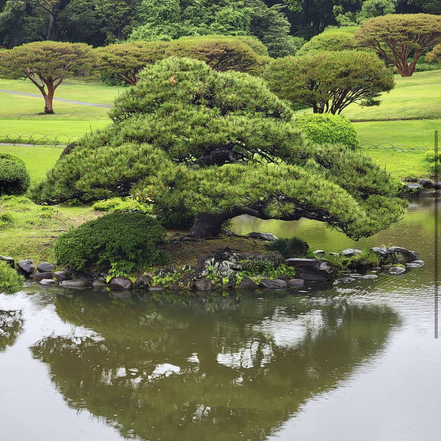 新宿御苑 (Shinjuku Gyoen National Garden)