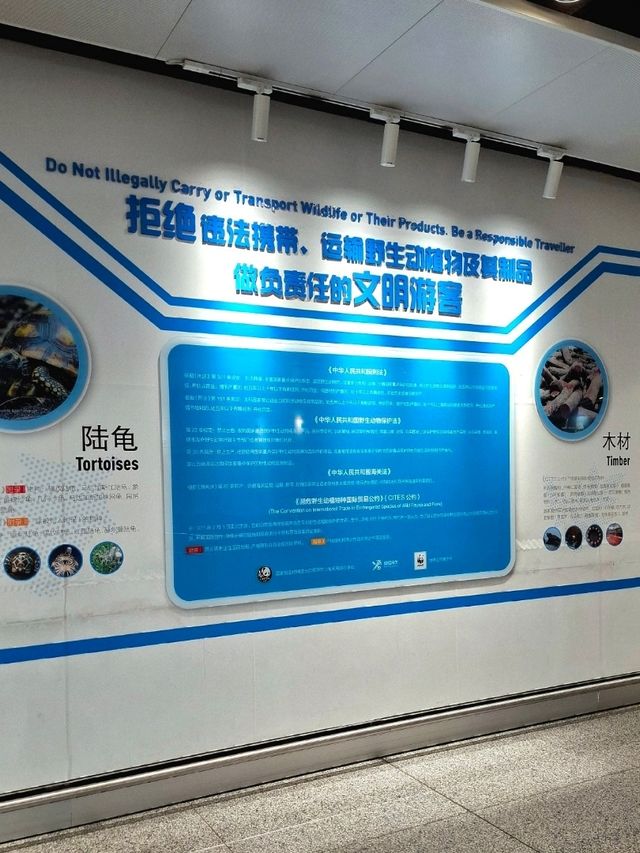 A NATURE MESSAGE FOR EVERY TRAVELLER IN KUNMING CHANGSHUI AIRPORT