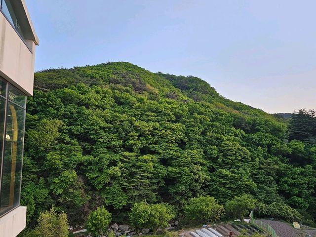 🇰🇷부산 마운틴뷰 카페 추천
