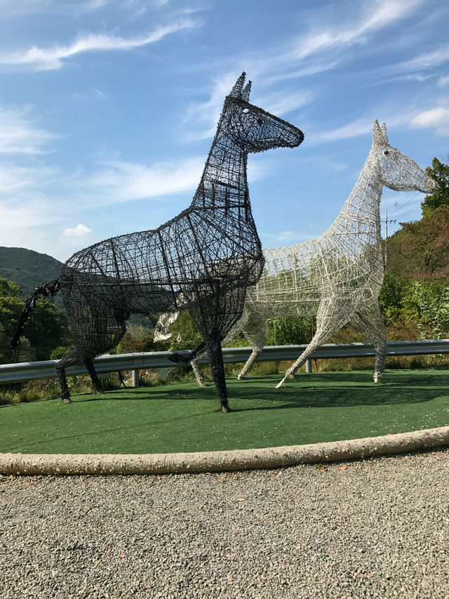 🇰🇷大邱✈️ 鄉村風貌的馬飛亭壁畫村마비정벽화마을