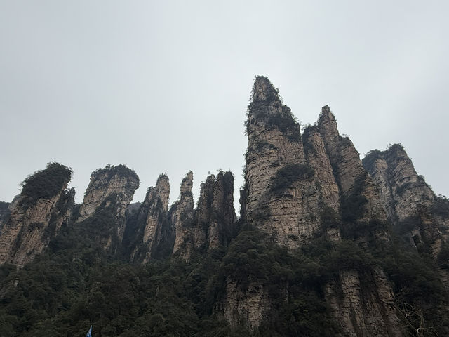 張家界看仙境奇峰