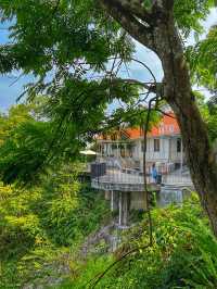 A Scenic Escape Above the Island: Springtime at Penang Hill
