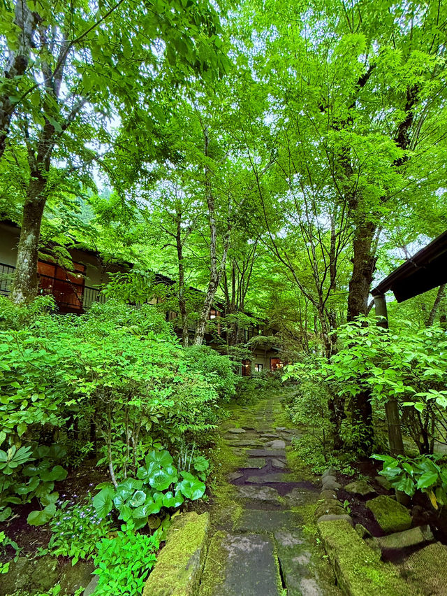 黑川奧之湯溫泉飯店
