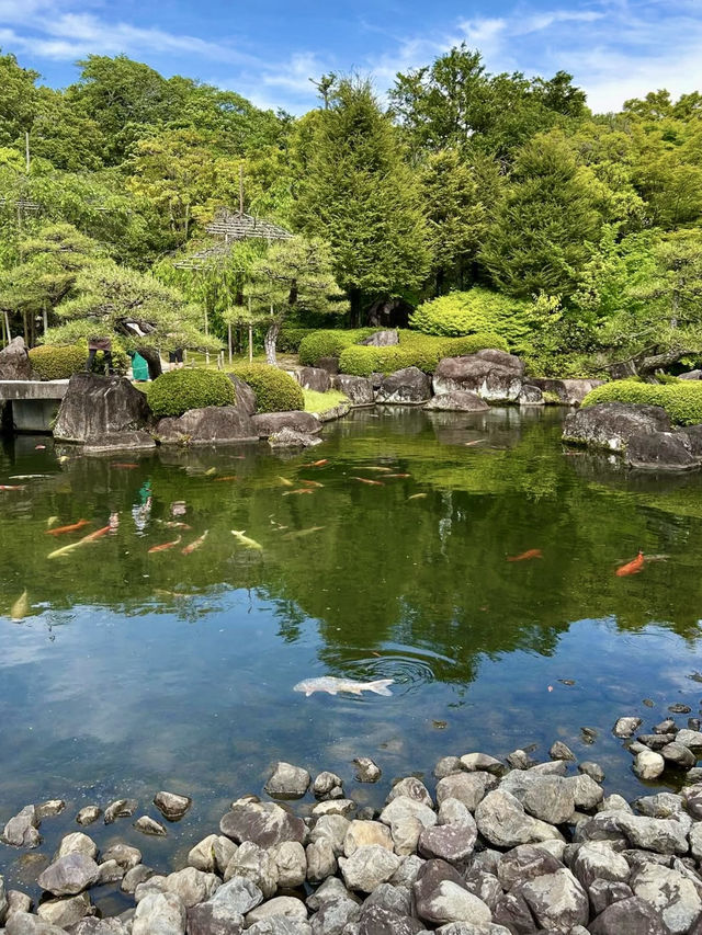 A Laid-Back Day in Himeji – Castles, Calm & a Few Furry Friends