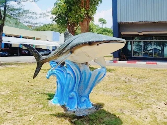 พิพิธภัณฑ์สัตว์น้ำหว้ากอ แหล่งเรียนรู้ทางทะเลใต้