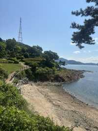 🌊 통영 이순신공원에서 힐링 산책 완료! 🌿