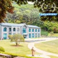 My Visit to Cheongnamdae 