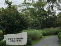 🌿 Something Journey – เชียงราย คาเฟ่สไตล์นอร์ดิก