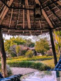 Premium accommodation in Chitwan area