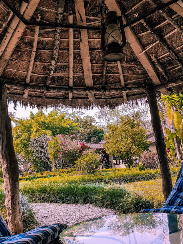 Premium accommodation in Chitwan area