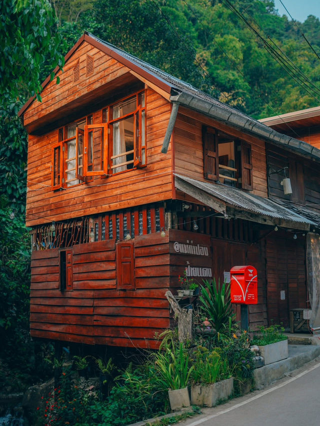 เดินชิลๆ สูดอากาศดีๆ ที่หมู่บ้านแม่กำปอง 🌿🌳•••••