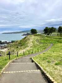 An Active Day Out in Hachinohe – Nature, Trails & Local Flavors