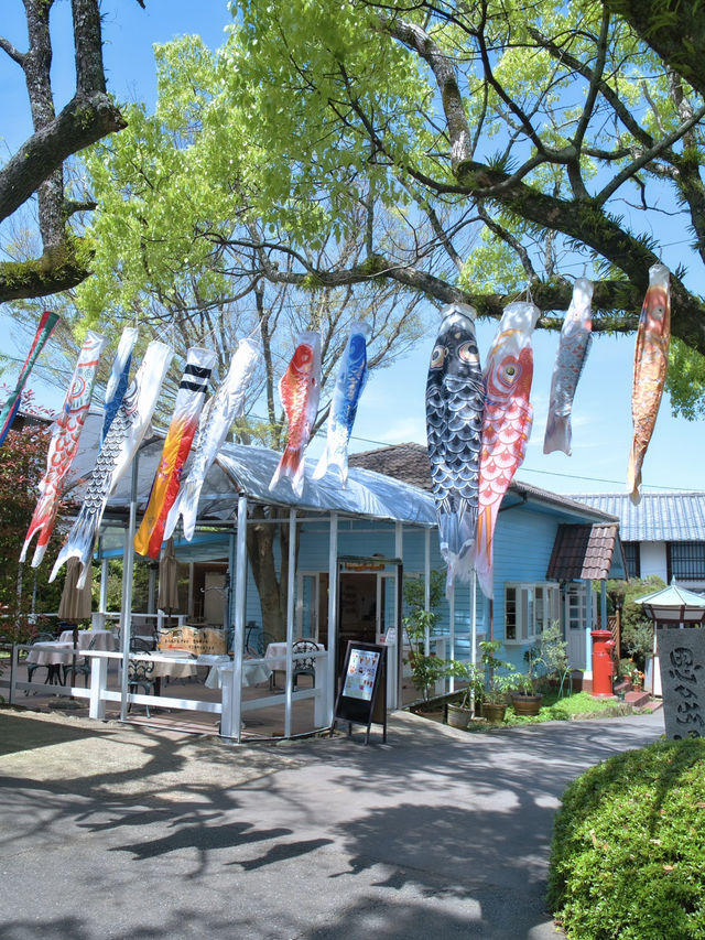 【福岡】博多湾に浮かぶ花の楽園！春色の絶景ピクニック🌼🏝️💖