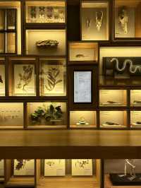 Mundane knowledge made appealing and interesting 