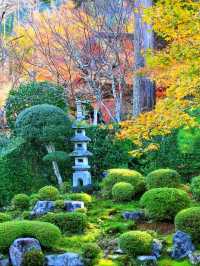 Sanzen-in – A Hidden Temple Garden in the Hills of Ohara