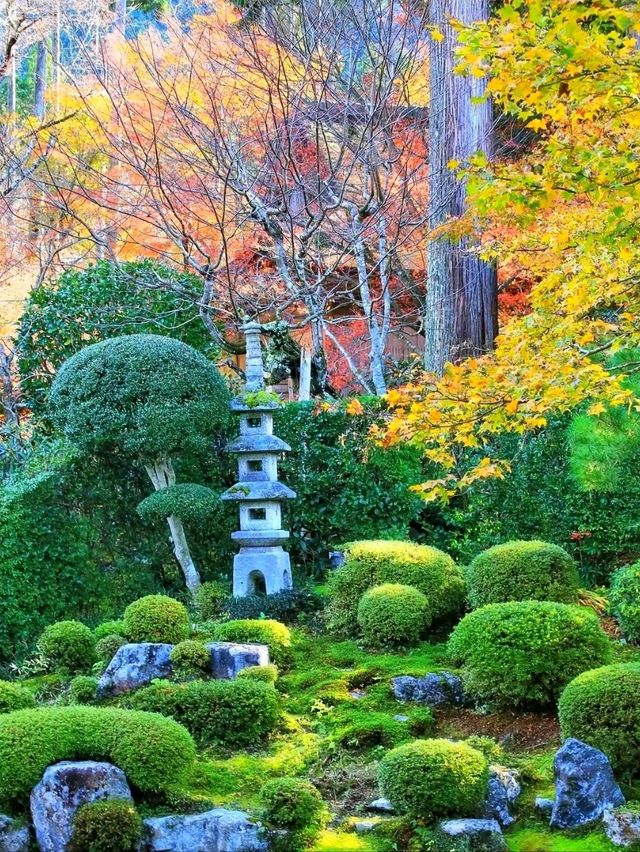 Sanzen-in – A Hidden Temple Garden in the Hills of Ohara