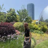 🌸✨ The North Bund @shanghai ดอกไม้สวยสะพรั่ง