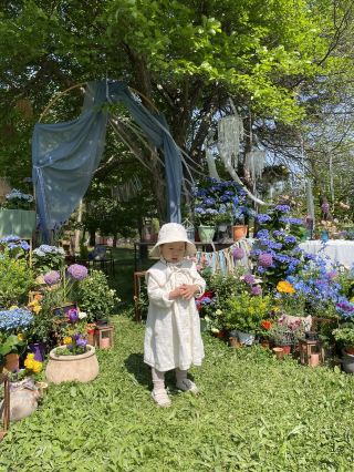 高陽:: 春季旅遊不可錯過的高陽花卉博覽會