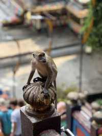 Batu Caves: A Sacred Stairway to the Sky