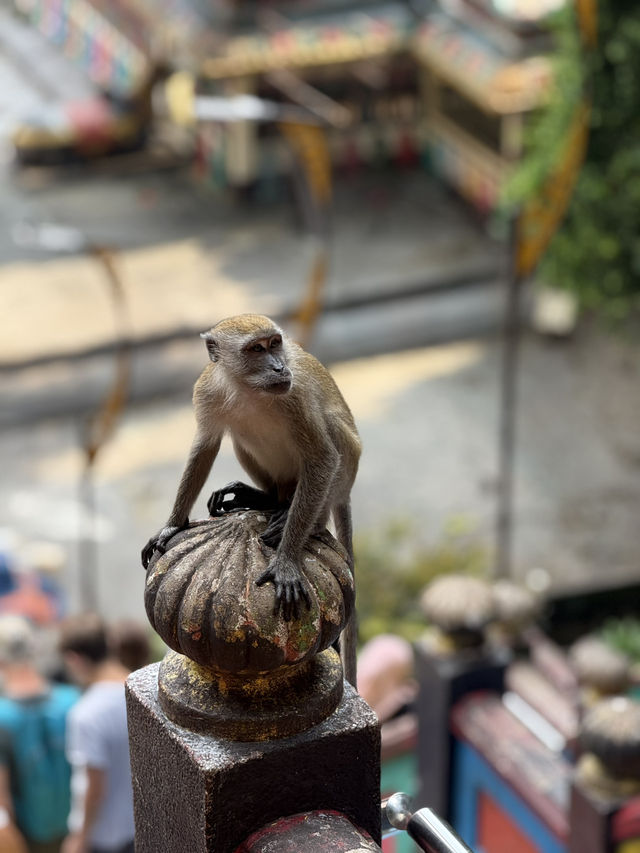 Batu Caves: A Sacred Stairway to the Sky