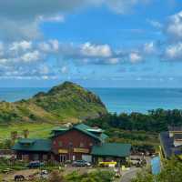 🌊 Yangmeori Coast | Hidden Coastal Treasure & Fresh Seafood Delight 🐚✨