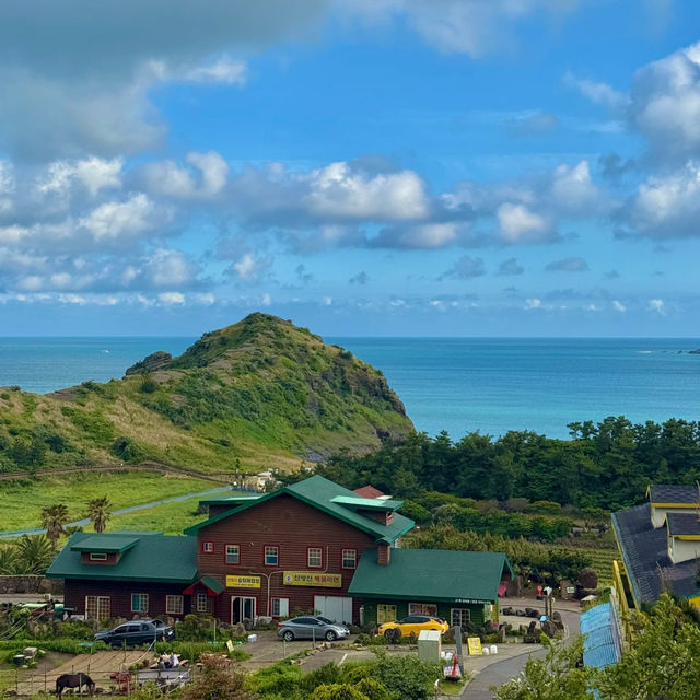 🌊 Yangmeori Coast | Hidden Coastal Treasure & Fresh Seafood Delight 🐚✨
