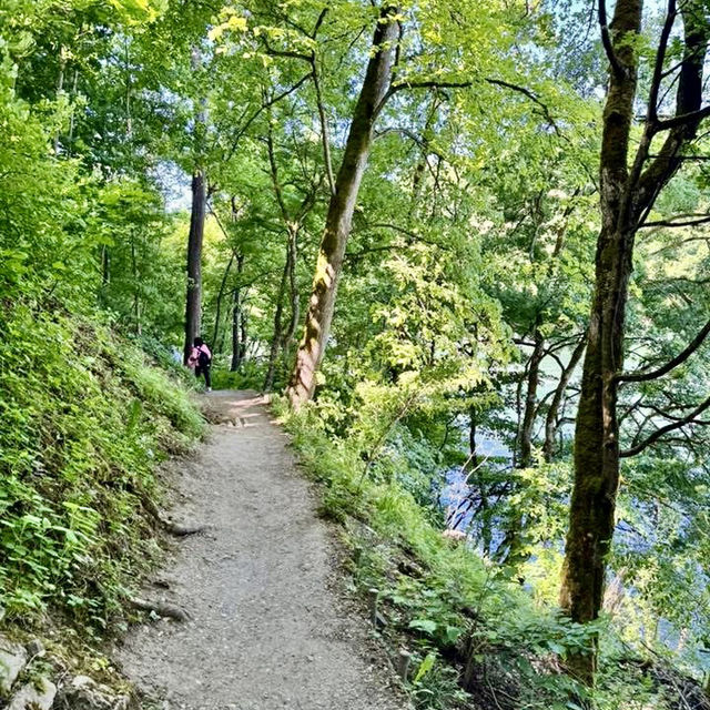 壯觀迷人的瀑布～瑞士萊茵瀑布 Rheinfall 