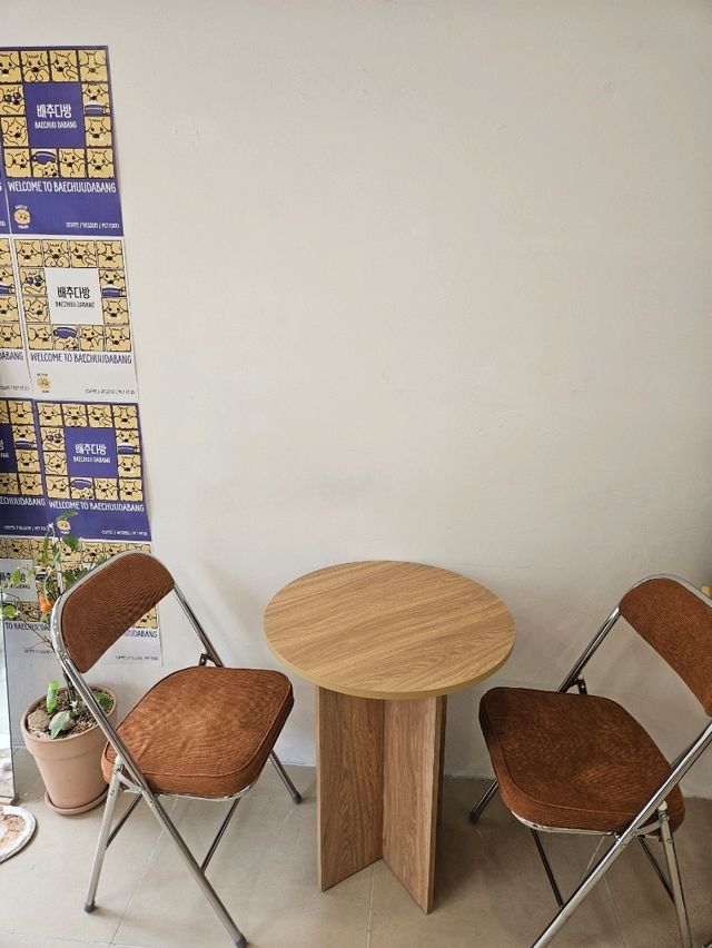 애견동반 가능한 감성카페 👍