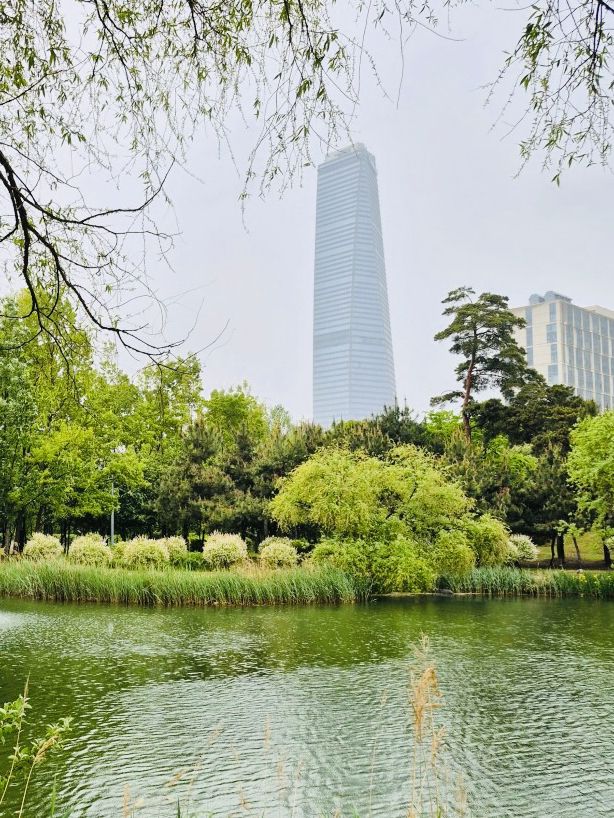 A Blooming Surprise in Incheon: A Review of Sunrise (Haedoji) Park 