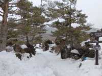 3月日本自由行 景点篇 鬼押出火山岩石公園