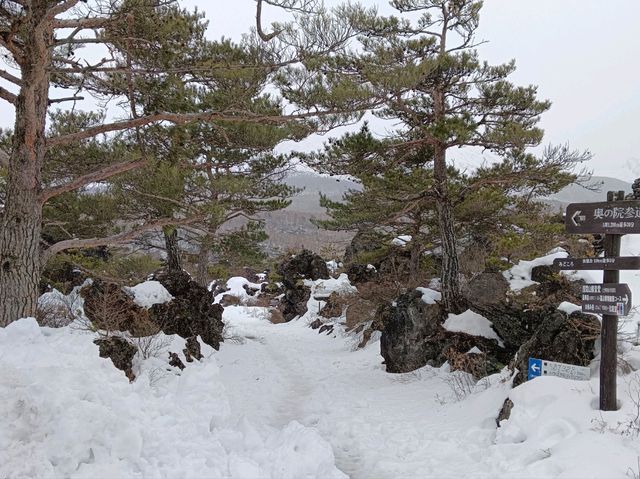3月日本自由行 景点篇 鬼押出火山岩石公園