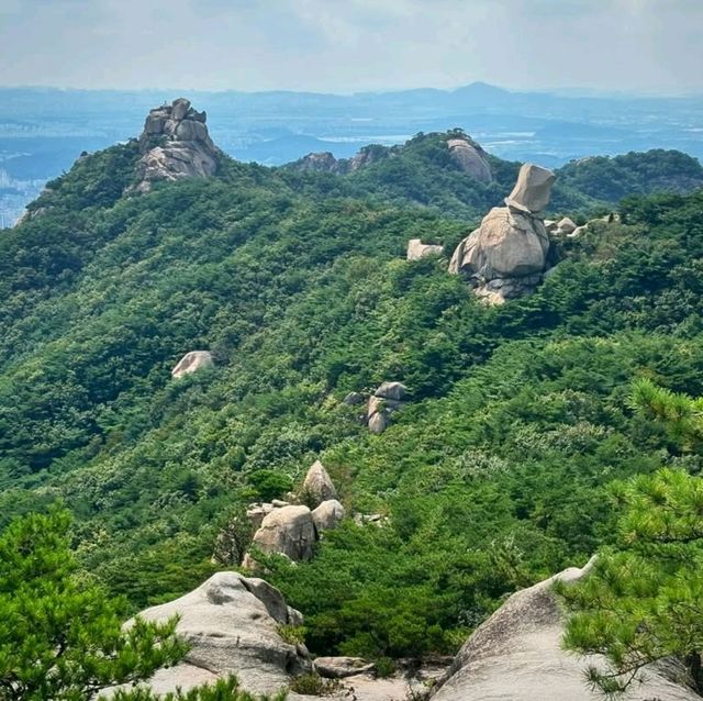 Kalbawi Ridge: Where Your Legs Cry but Your Soul Cheers
