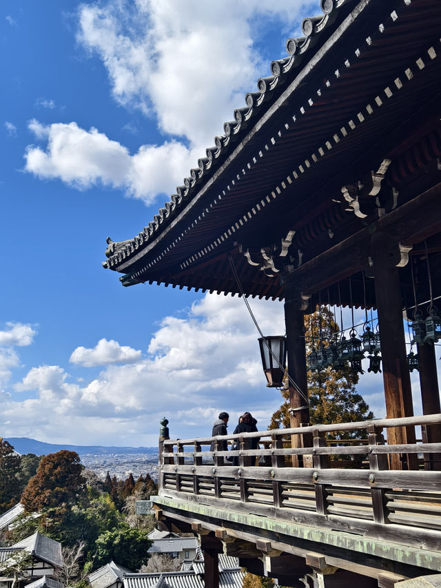 國家風景名勝區，奈良公園