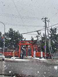 โอซาก้า🇯🇵❄️