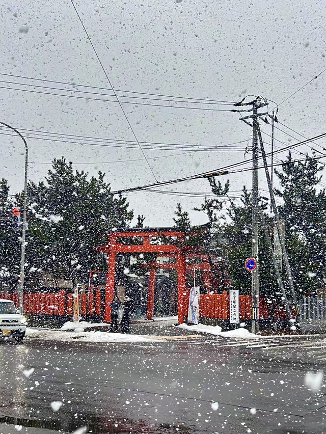 โอซาก้า🇯🇵❄️