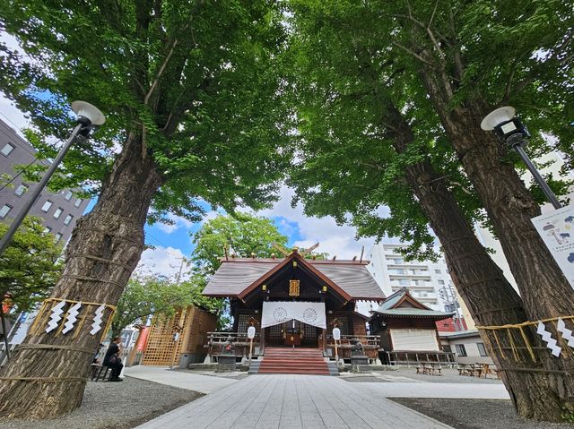 「北海道~札幌」市內剪映！在風和日麗的六月。